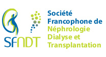 Logo SFNDT